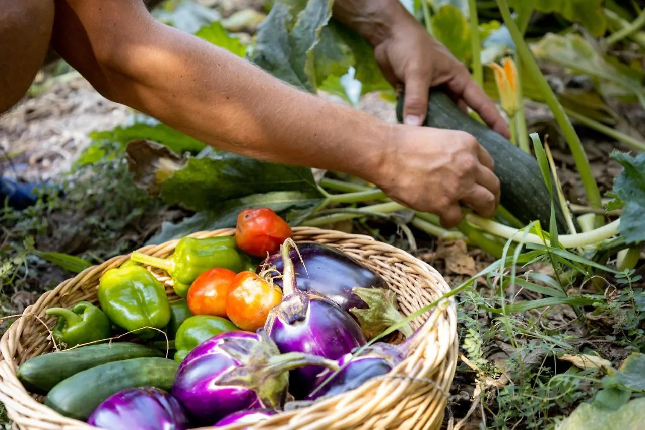 Eco Village Baia Delle Ginestre Aparthotel Teulada