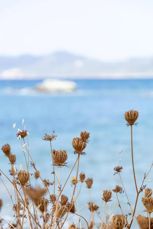 Eco Village Baia Delle Ginestre Теулада